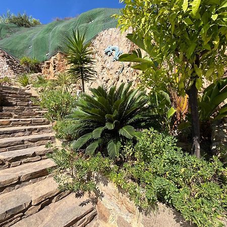 Meuble Tourisme 4*, Les Pieds Dans L'Eau, Villa Las Palmeras 라론드레모레 외부 사진